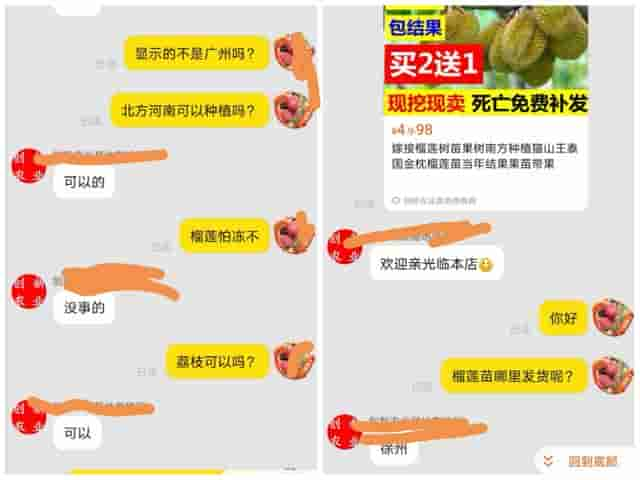 网上的假苗既坑农又误农，如何避免？今天教大家如何辨别假苗商家