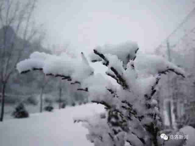 一场雪后，商洛最美山村雪景图来了，银装素裹，宛若仙境……