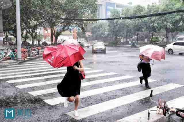 暴雨中的成都，摄影师拍下街边路人的精彩瞬间