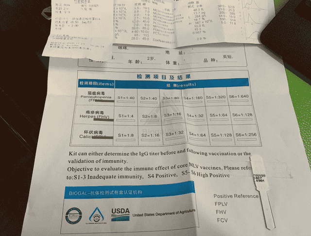 2004年美国孕妇被“剖腹取子”，凶手曝光后，数万网友为其求情