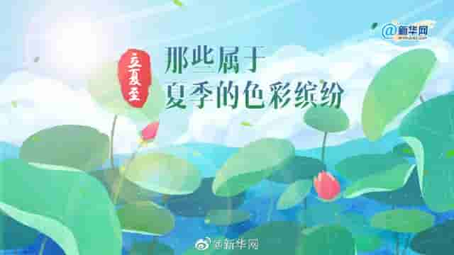 立夏至，那些属于夏季的色彩缤纷