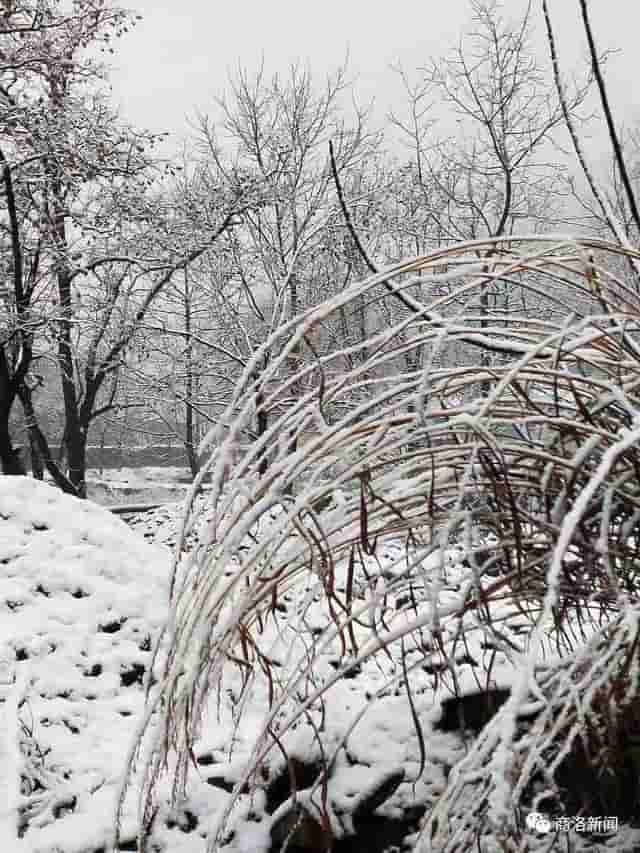 一场雪后，商洛最美山村雪景图来了，银装素裹，宛若仙境……