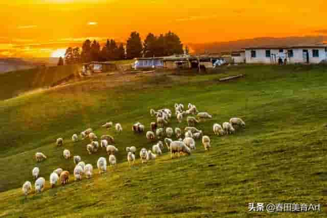 教程丨少儿美术课程《青青草原》