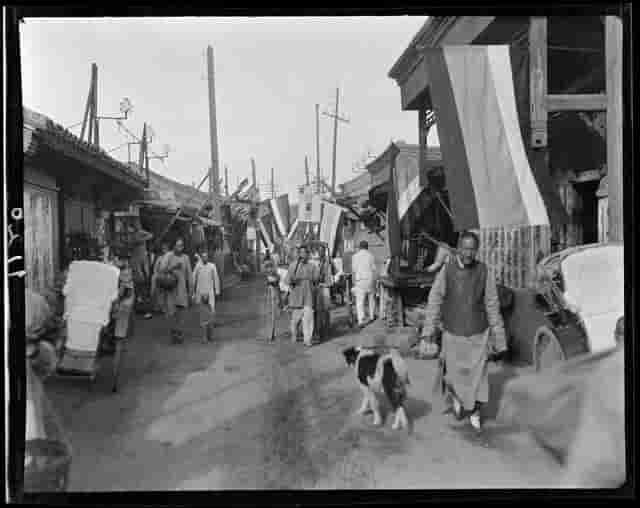 来自100年前的珍贵影像，告诉你纯正的中华田园犬长什么样