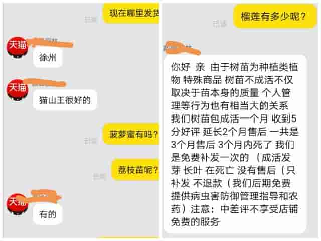 网上的假苗既坑农又误农，如何避免？今天教大家如何辨别假苗商家