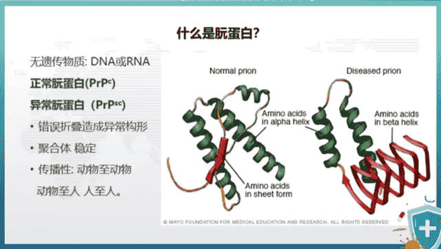 人吃人的天罚 20号染色体 来自人类祖先 基因中的“罪恶”？