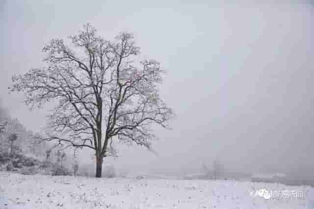 一场雪后，商洛最美山村雪景图来了，银装素裹，宛若仙境……