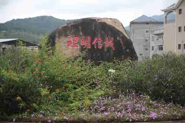 美丽乡村·福建半山村：原来“垃圾坑”也能变成“明星村”