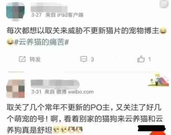 什么是吸猫？铲屎官仅仅只是吸了个寂寞吗？进来边吸边聊吧