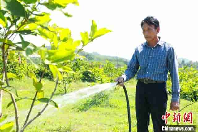 六旬台商“登陆”广西：觅得一方“宝地”倾尽毕生所学