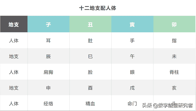 易学基础：十二地支