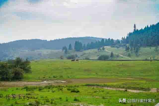 重庆武隆游记，领略神奇喀斯特地貌和独特的“川江号子”绝唱