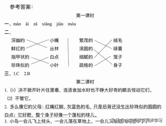 小学语文五年级上册第四课《珍珠鸟》超详细课文笔记、预习复习