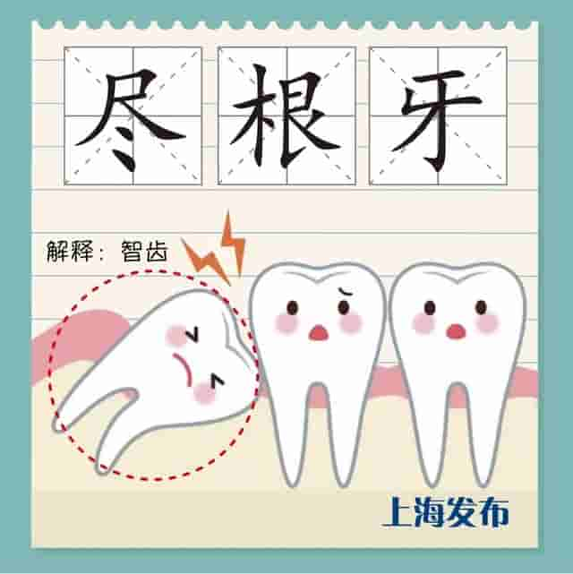 阔板牙、尽根牙、老虎牙，今朝阿拉来讲讲上海话里的“牙子”