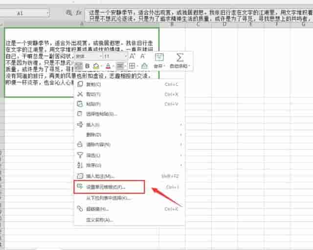 Excel表格技巧—如何修改单元格内容的行间距