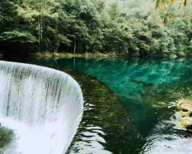 直播预告｜贵州金牌导游带你走进世界自然遗产地——地球绿宝石“荔波小七孔”