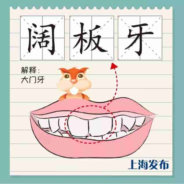 阔板牙、尽根牙、老虎牙，今朝阿拉来讲讲上海话里的“牙子”