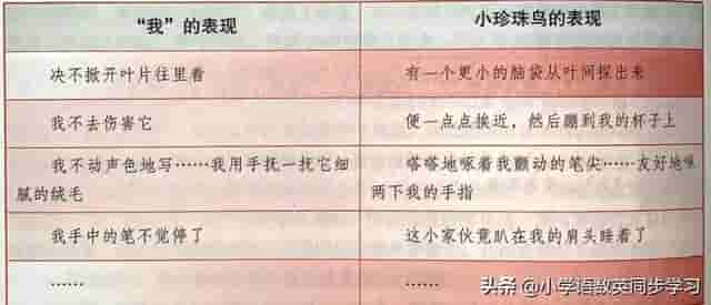 小学语文五年级上册第四课《珍珠鸟》超详细课文笔记、预习复习