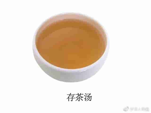 普洱生茶与熟茶的功效一样吗 ?