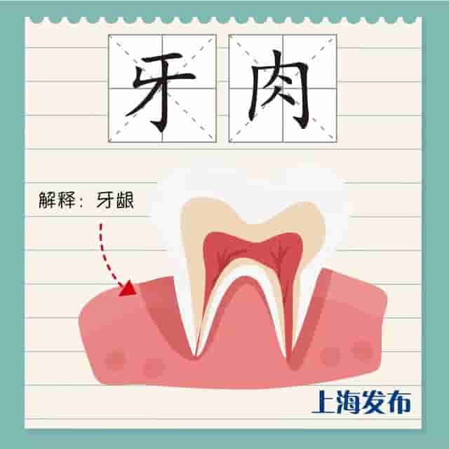 阔板牙、尽根牙、老虎牙，今朝阿拉来讲讲上海话里的“牙子”