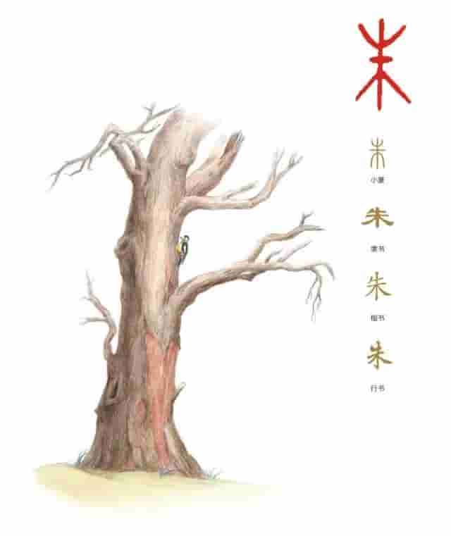 聆听汉字之美：《花草字传》，了解“朱”