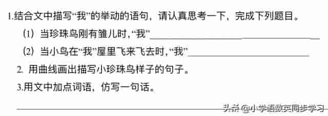 小学语文五年级上册第四课《珍珠鸟》超详细课文笔记、预习复习