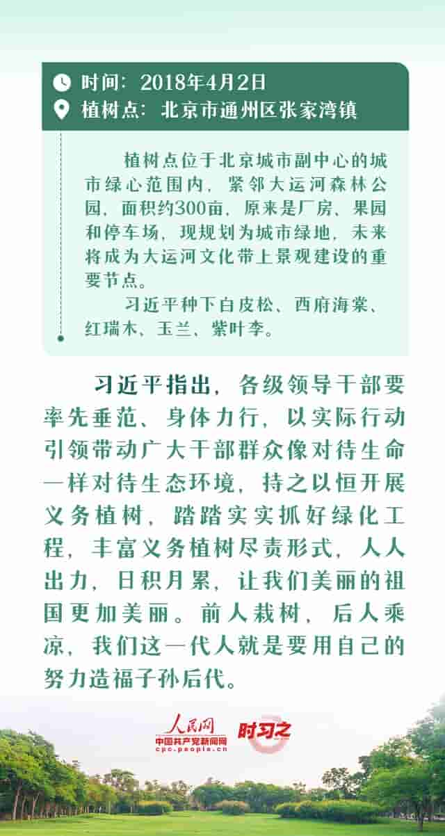 绘出美丽中国的更新画卷 与总书记一起厚植绿色未来