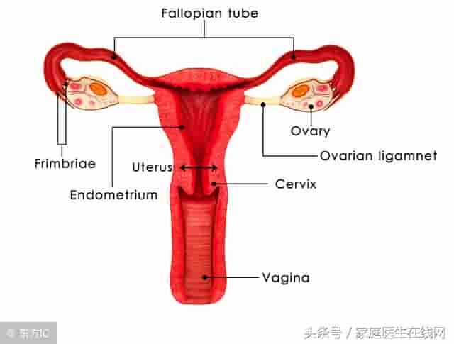 女人子宫不好，身体会出现这6个问题，希望你全都没碰上