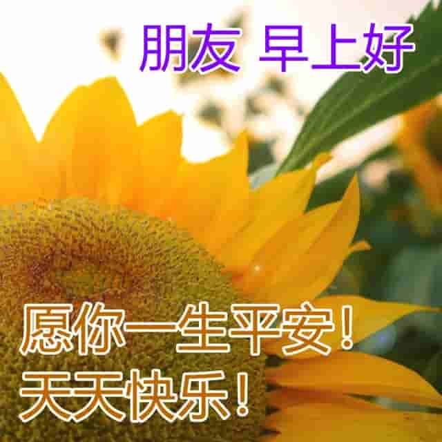 问候早上好精美图片合集 清晨最美早安祝福暖心图片