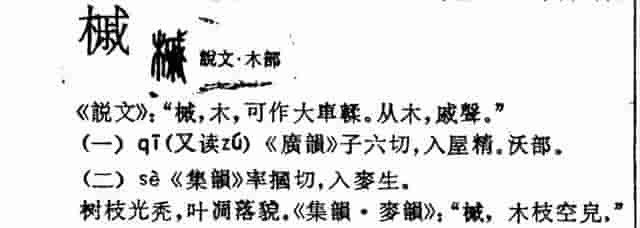 「秋天必看」枫树图鉴22年版——枫槭之辨及元宝枫、五角枫篇