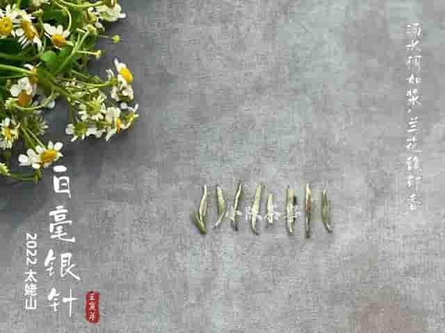 5年、10年、15年，什么样的白茶才能越存越好？我总结了3个标准