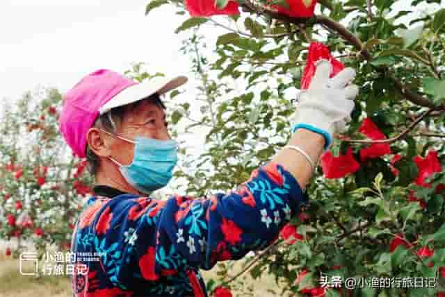 陕西这个县以美女多闻名，文物古迹众多，小米、苹果也很有名