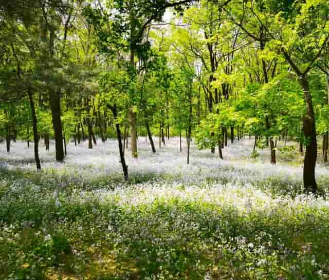 北京朝阳区约369万人，比银川、西宁多，区内有鸟巢和首都机场