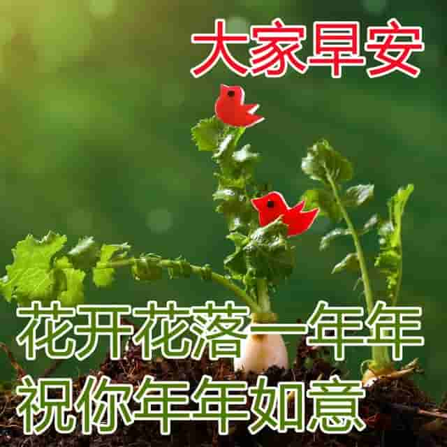 问候早上好精美图片合集 清晨最美早安祝福暖心图片