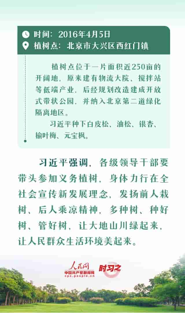 绘出美丽中国的更新画卷 与总书记一起厚植绿色未来