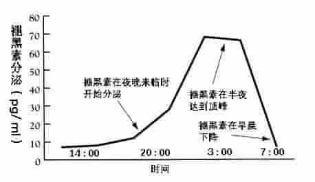 睡觉时的一个小习惯，可能会让你长胖