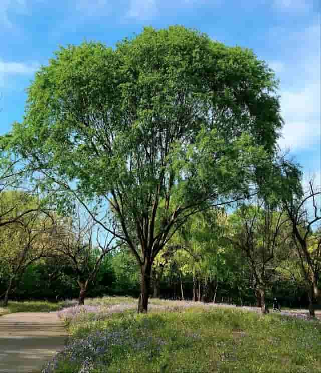 北京朝阳区约369万人，比银川、西宁多，区内有鸟巢和首都机场