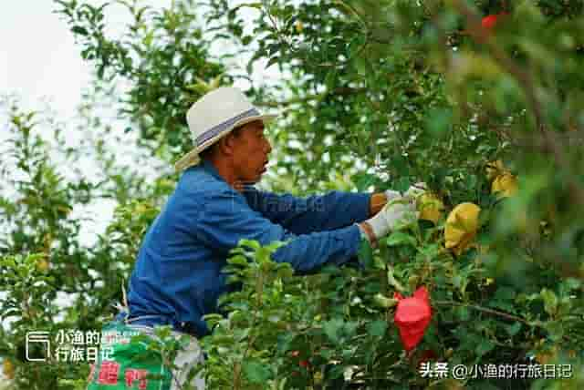 陕西这个县以美女多闻名，文物古迹众多，小米、苹果也很有名