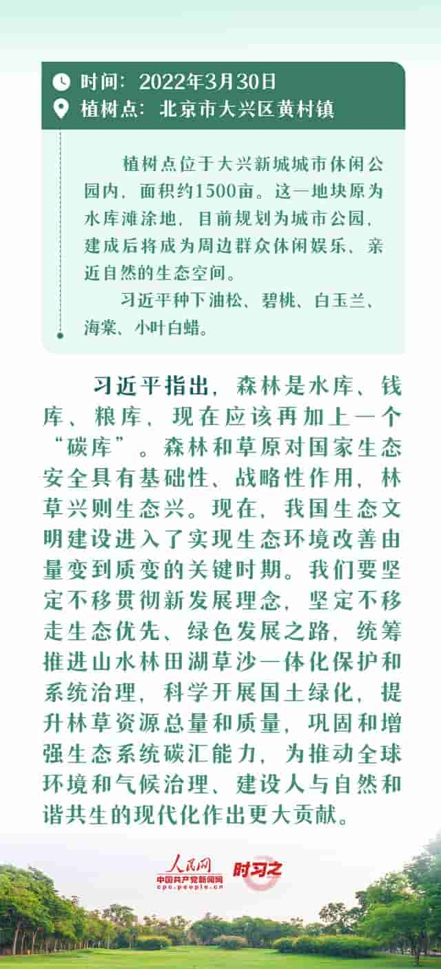 绘出美丽中国的更新画卷 与总书记一起厚植绿色未来