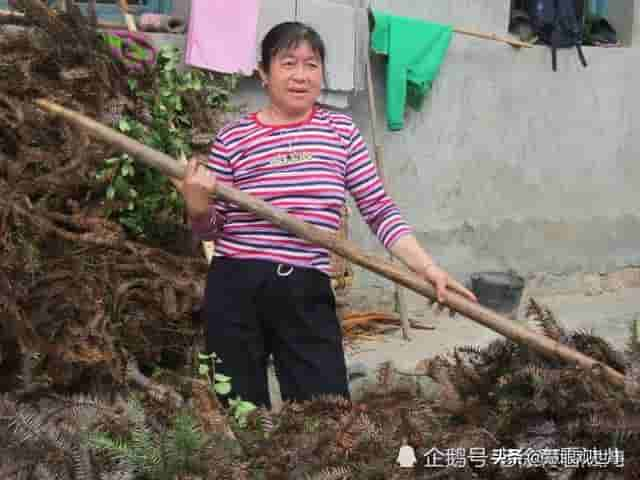 小桥局长笔下几个因病陷入困境的家庭