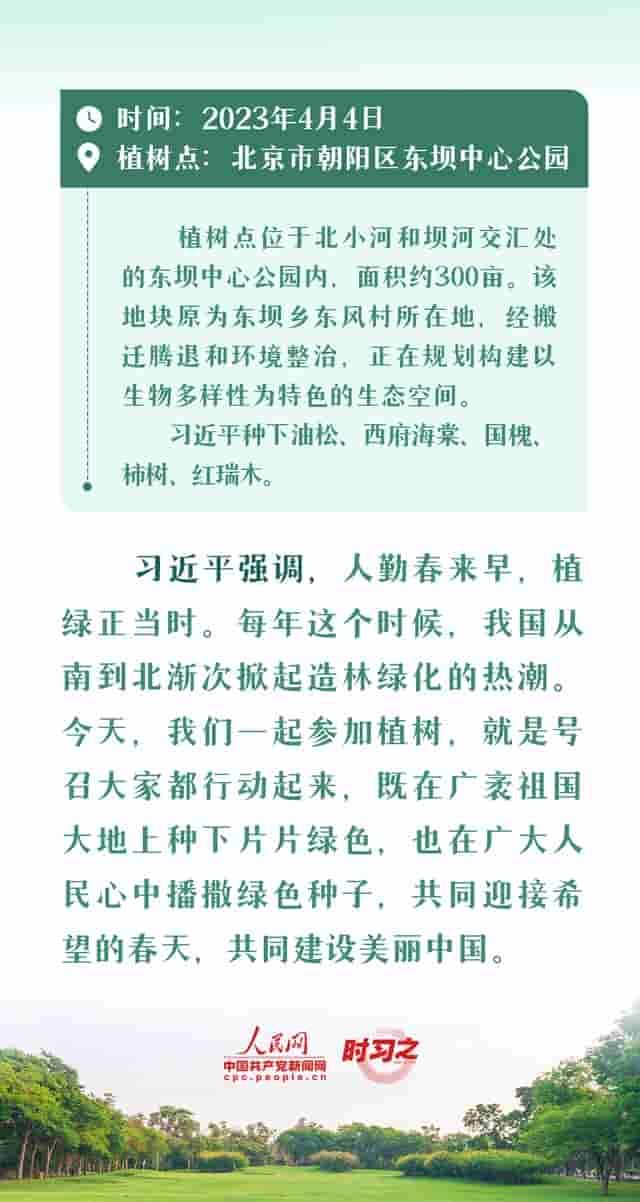 绘出美丽中国的更新画卷 与总书记一起厚植绿色未来