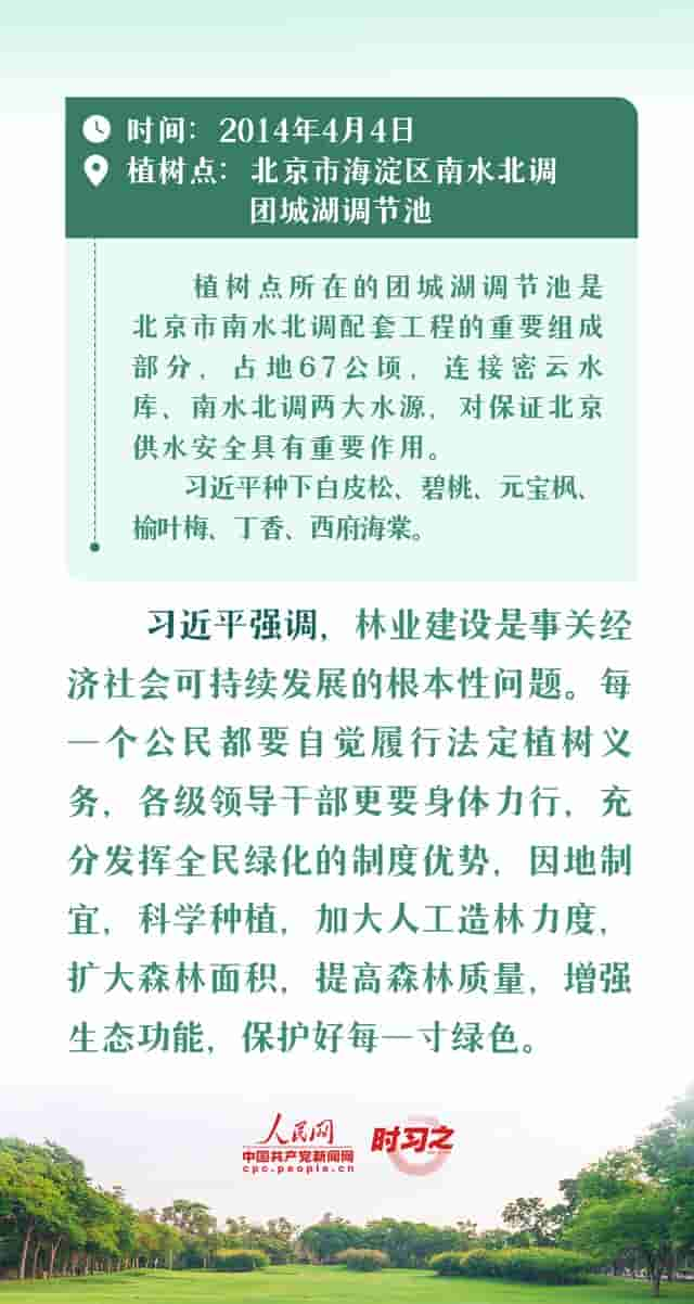 绘出美丽中国的更新画卷 与总书记一起厚植绿色未来