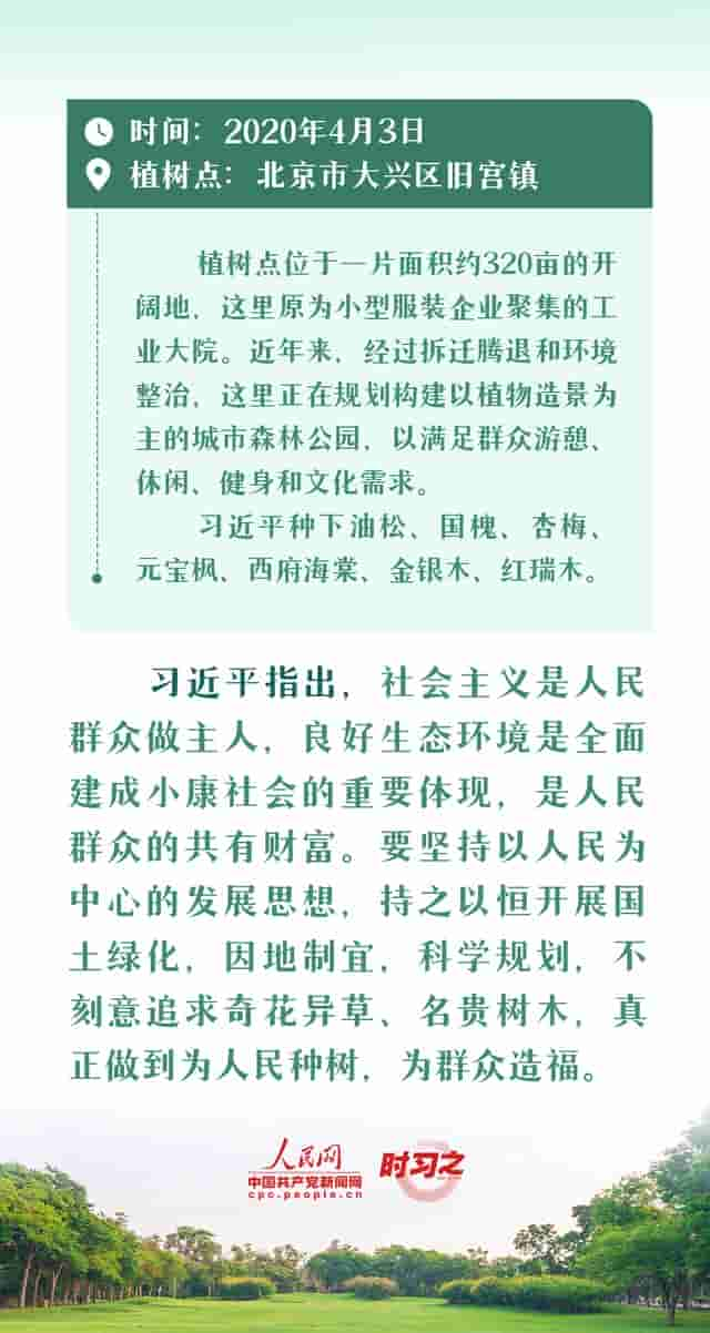 绘出美丽中国的更新画卷 与总书记一起厚植绿色未来