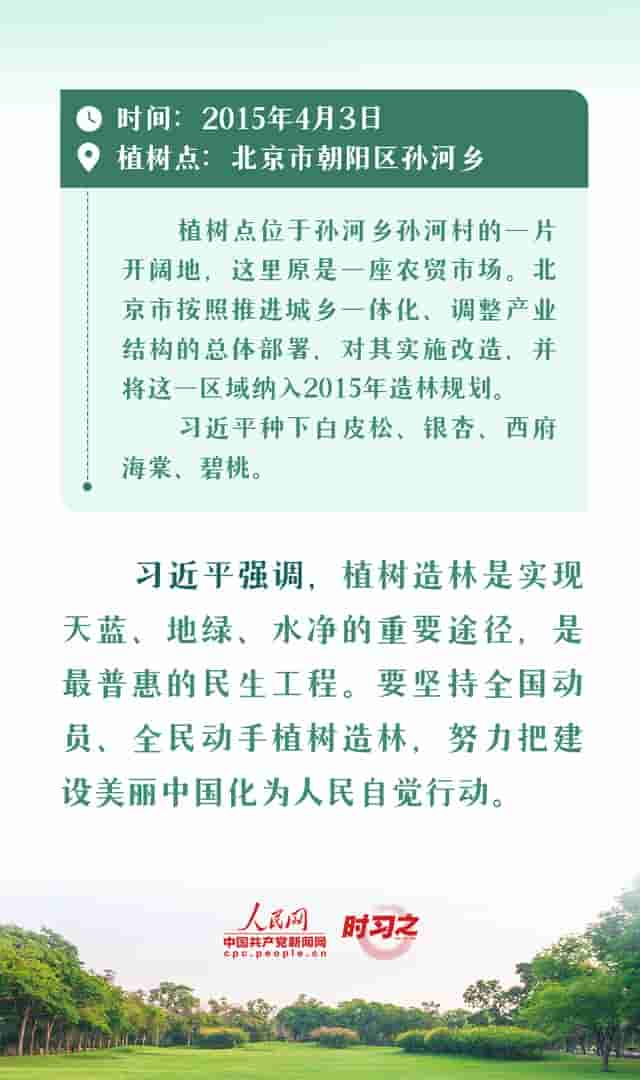 绘出美丽中国的更新画卷 与总书记一起厚植绿色未来