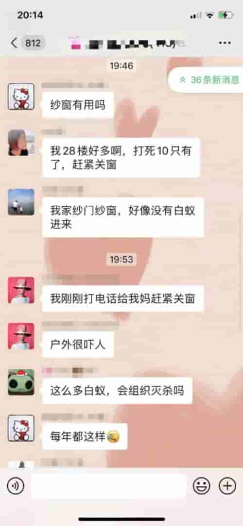 上海人一夜感受被白蚁“支配”的恐惧，有人10分钟徒手掐死10只！注意：盲目消杀很危险