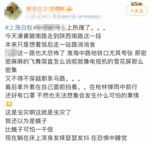 上海人一夜感受被白蚁“支配”的恐惧，有人10分钟徒手掐死10只！注意：盲目消杀很危险