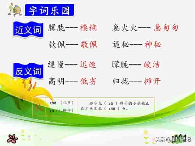 三年级语文上册（人教版）《带刺的朋友》课文讲析