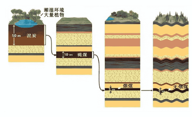 世界最大煤田煤层厚达1千米，每年可挖4亿吨！究竟是如何形成的？