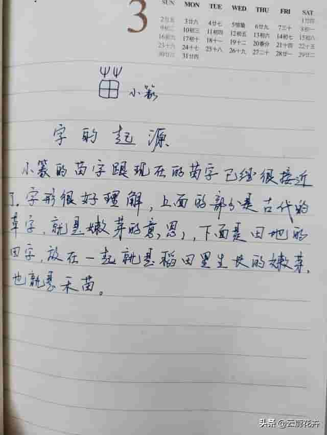 一字一故事——苗