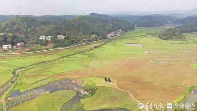 访马英九祖辈生息地：湘江畔的平静小镇，油菜花开得正旺